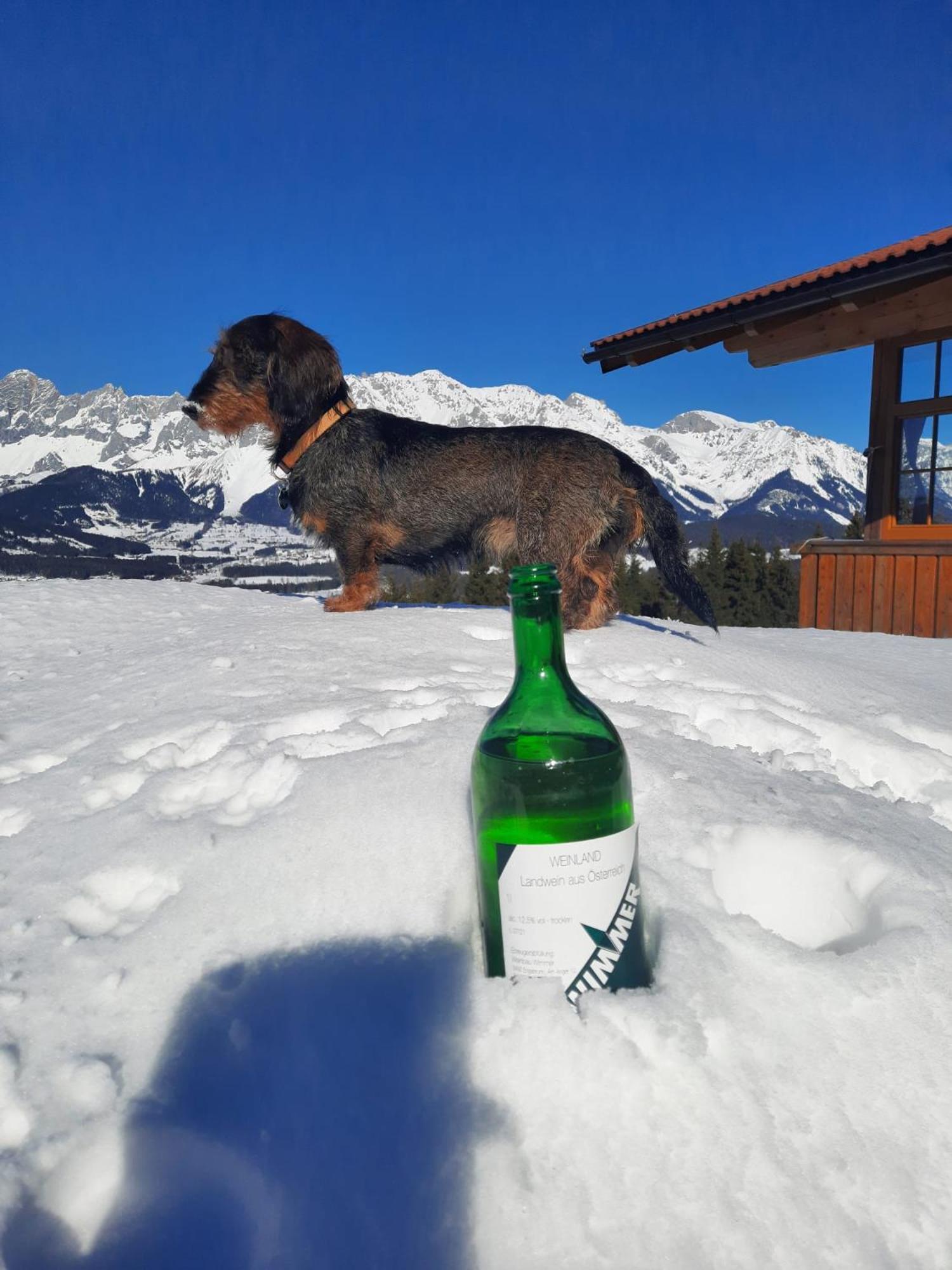 Haus Rigl Leilighet Schladming Eksteriør bilde