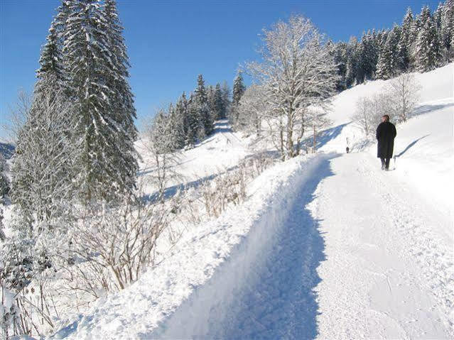 Haus Rigl Leilighet Schladming Eksteriør bilde
